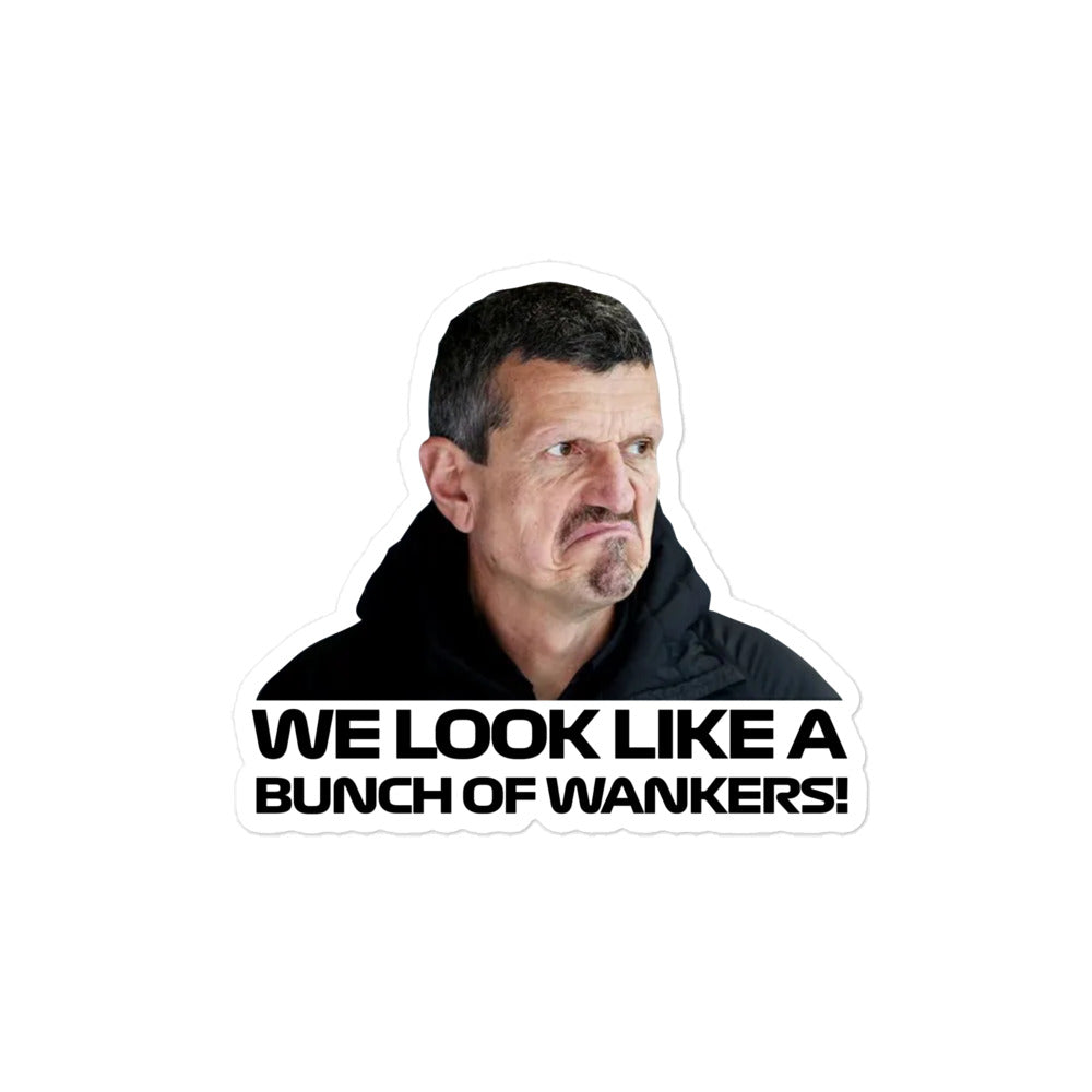 Guenther Steiner Bunch Of Wankers Sticker