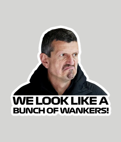 guenther steiner bunch of wankers sticker